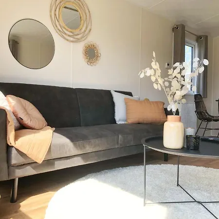 Chalet 578 Op Recreatiepark De Wielen *